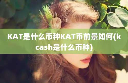 KAT是什么币种KAT币前景如何(kcash是什么币种)