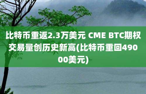 比特币重返2.3万美元 CME BTC期权交易量创历史新高(比特币重回49000美元)