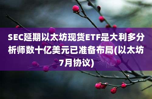 SEC延期以太坊现货ETF是大利多分析师数十亿美元已准备布局(以太坊7月协议)