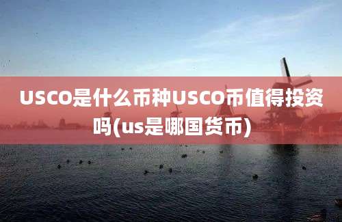 USCO是什么币种USCO币值得投资吗(us是哪国货币)