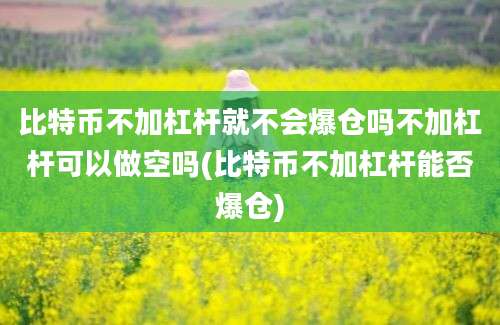 比特币不加杠杆就不会爆仓吗不加杠杆可以做空吗(比特币不加杠杆能否爆仓)