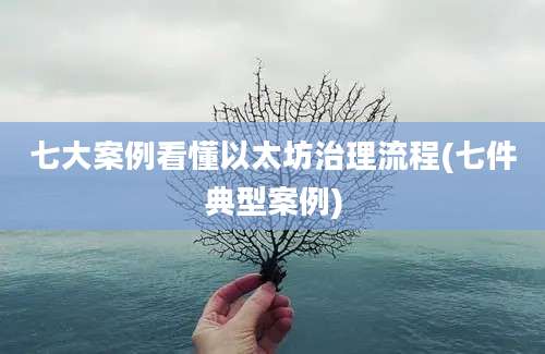 七大案例看懂以太坊治理流程(七件典型案例)