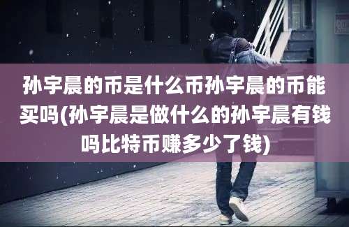 孙宇晨的币是什么币孙宇晨的币能买吗(孙宇晨是做什么的孙宇晨有钱吗比特币赚多少了钱)