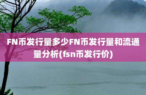 FN币发行量多少FN币发行量和流通量分析(fsn币发行价)