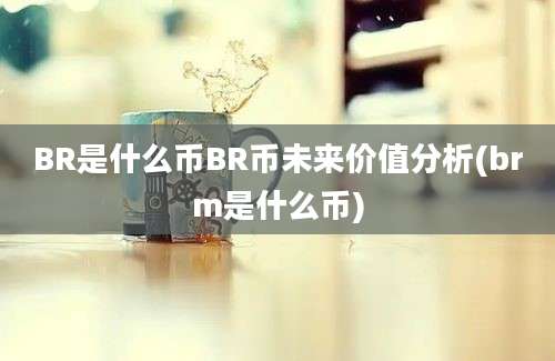 BR是什么币BR币未来价值分析(brm是什么币)