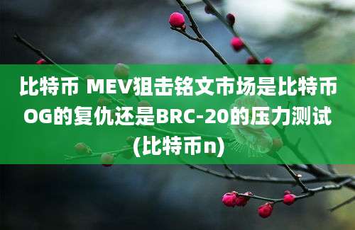 比特币 MEV狙击铭文市场是比特币OG的复仇还是BRC-20的压力测试(比特币n)