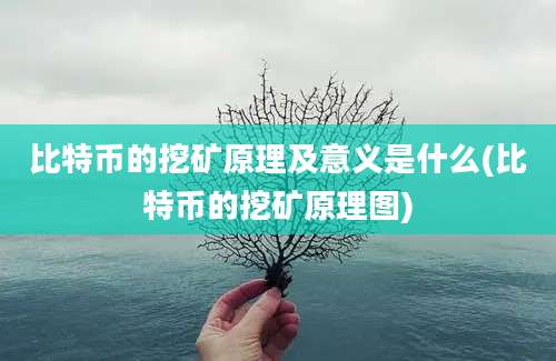 比特币的挖矿原理及意义是什么(比特币的挖矿原理图)