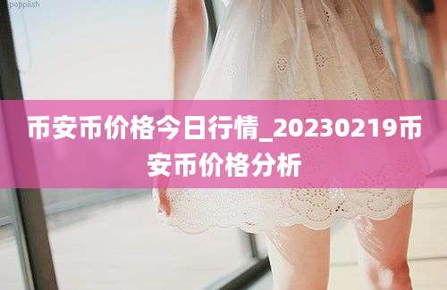 币安币价格今日行情_20230219币安币价格分析