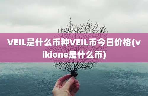 VEIL是什么币种VEIL币今日价格(vikione是什么币)