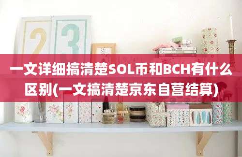 一文详细搞清楚SOL币和BCH有什么区别(一文搞清楚京东自营结算)