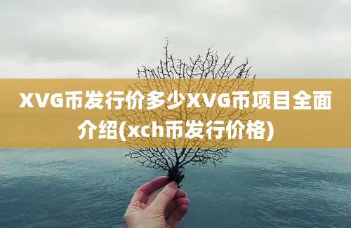 XVG币发行价多少XVG币项目全面介绍(xch币发行价格)