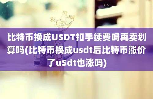 比特币换成USDT扣手续费吗再卖划算吗(比特币换成usdt后比特币涨价了uSdt也涨吗)