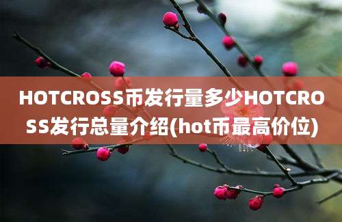 HOTCROSS币发行量多少HOTCROSS发行总量介绍(hot币最高价位)