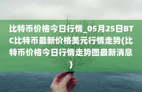 比特币价格今日行情_05月25日BTC比特币最新价格美元行情走势(比特币价格今日行情走势图最新消息)