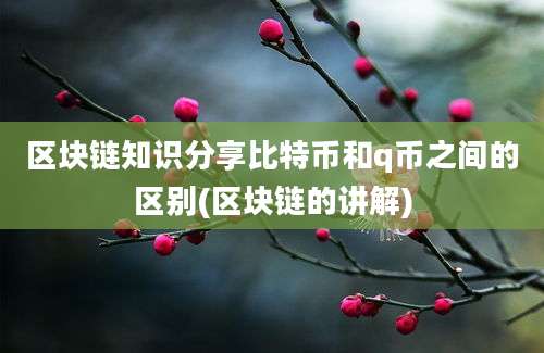 区块链知识分享比特币和q币之间的区别(区块链的讲解)