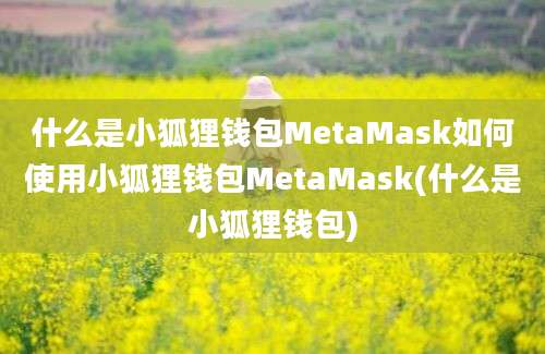 什么是小狐狸钱包MetaMask如何使用小狐狸钱包MetaMask(什么是小狐狸钱包)