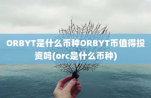 ORBYT是什么币种ORBYT币值得投资吗(orc是什么币种)