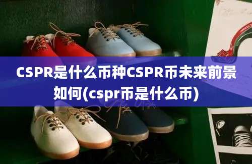 CSPR是什么币种CSPR币未来前景如何(cspr币是什么币)