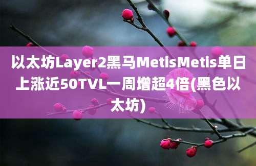 以太坊Layer2黑马MetisMetis单日上涨近50TVL一周增超4倍(黑色以太坊)