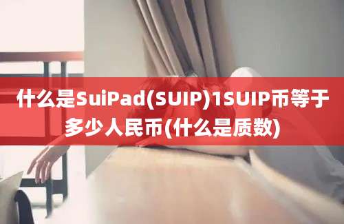 什么是SuiPad(SUIP)1SUIP币等于多少人民币(什么是质数)