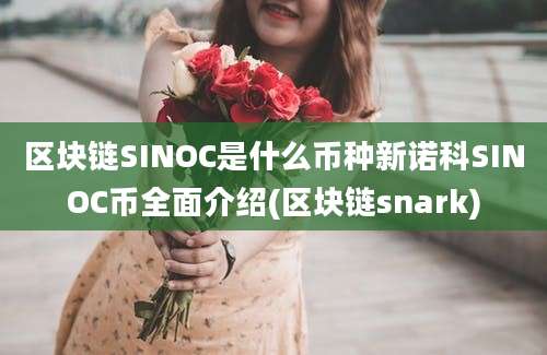 区块链SINOC是什么币种新诺科SINOC币全面介绍(区块链snark)