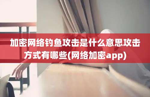 加密网络钓鱼攻击是什么意思攻击方式有哪些(网络加密app)