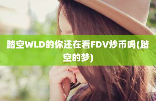 踏空WLD的你还在看FDV炒币吗(踏空的梦)