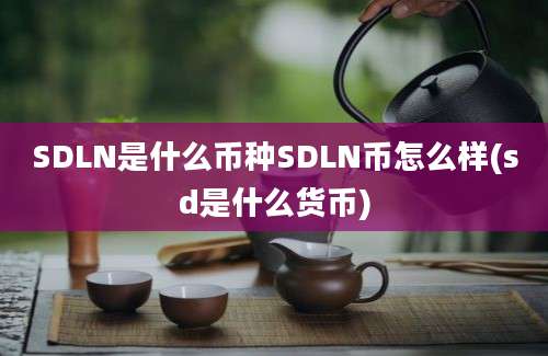 SDLN是什么币种SDLN币怎么样(sd是什么货币)