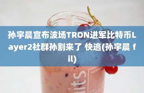 孙宇晨宣布波场TRON进军比特币Layer2社群孙割来了 快逃(孙宇晨 fil)