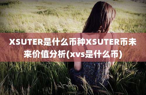 XSUTER是什么币种XSUTER币未来价值分析(xvs是什么币)