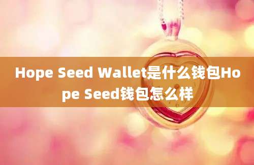 Hope Seed Wallet是什么钱包Hope Seed钱包怎么样