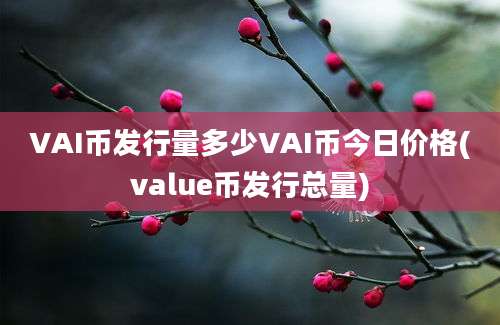 VAI币发行量多少VAI币今日价格(value币发行总量)