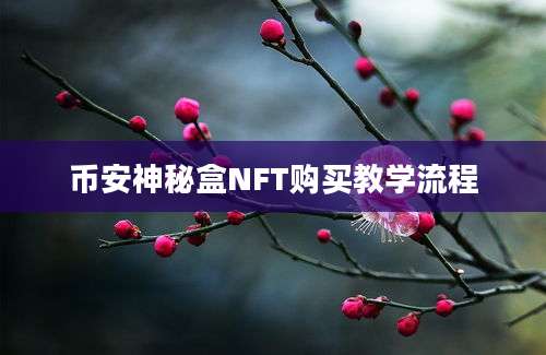 币安神秘盒NFT购买教学流程