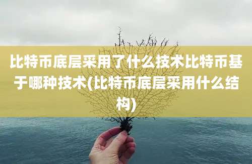 比特币底层采用了什么技术比特币基于哪种技术(比特币底层采用什么结构)