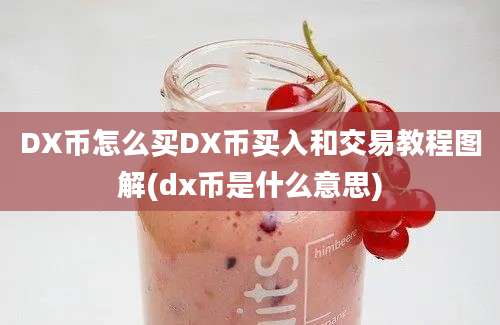 DX币怎么买DX币买入和交易教程图解(dx币是什么意思)