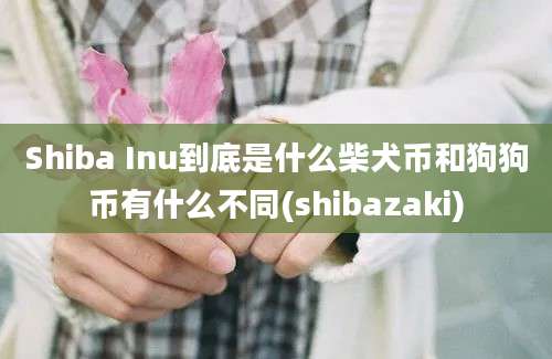 Shiba Inu到底是什么柴犬币和狗狗币有什么不同(shibazaki)