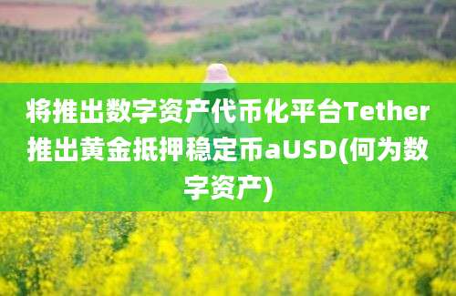 将推出数字资产代币化平台Tether推出黄金抵押稳定币aUSD(何为数字资产)