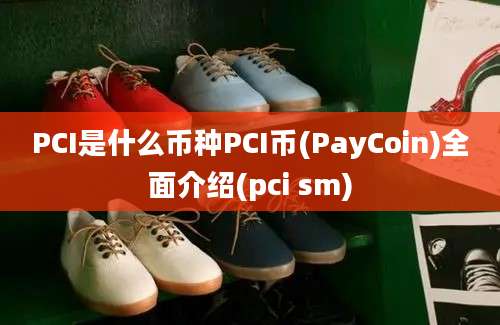 PCI是什么币种PCI币(PayCoin)全面介绍(pci sm)