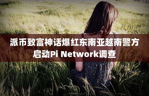 派币致富神话爆红东南亚越南警方启动Pi Network调查