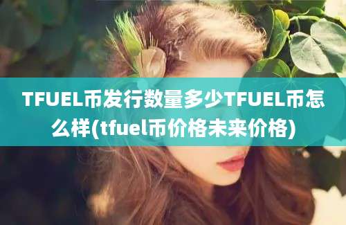 TFUEL币发行数量多少TFUEL币怎么样(tfuel币价格未来价格)