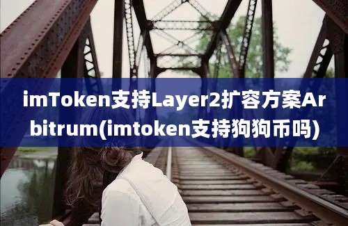 imToken支持Layer2扩容方案Arbitrum(imtoken支持狗狗币吗)