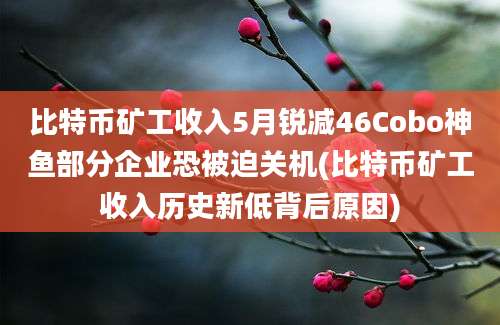 比特币矿工收入5月锐减46Cobo神鱼部分企业恐被迫关机(比特币矿工收入历史新低背后原因)