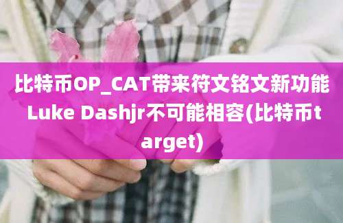 比特币OP_CAT带来符文铭文新功能 Luke Dashjr不可能相容(比特币target)