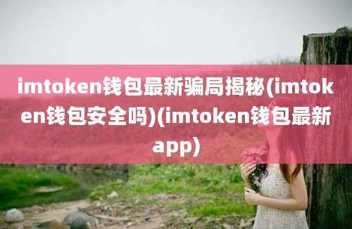 imtoken钱包最新骗局揭秘(imtoken钱包安全吗)(imtoken钱包最新app)