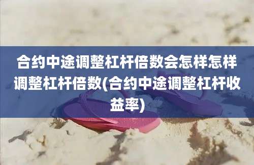 合约中途调整杠杆倍数会怎样怎样调整杠杆倍数(合约中途调整杠杆收益率)