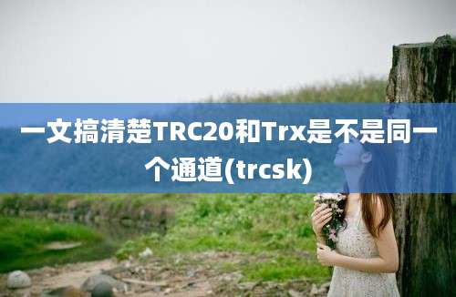 一文搞清楚TRC20和Trx是不是同一个通道(trcsk)