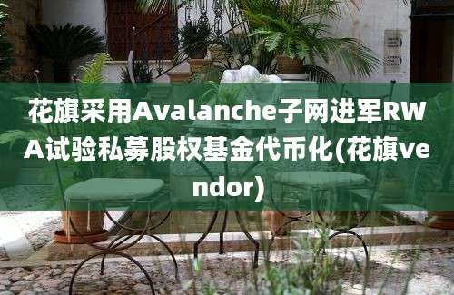 花旗采用Avalanche子网进军RWA试验私募股权基金代币化(花旗vendor)