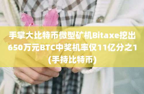 手掌大比特币微型矿机Bitaxe挖出650万元BTC中奖机率仅11亿分之1(手持比特币)