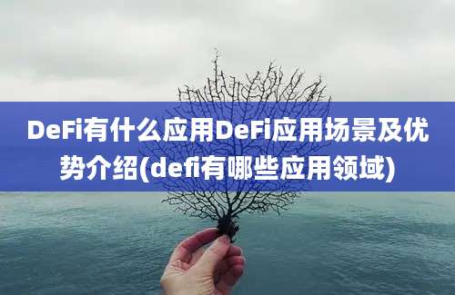 DeFi有什么应用DeFi应用场景及优势介绍(defi有哪些应用领域)