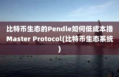 比特币生态的Pendle如何低成本撸Master Protocol(比特币生态系统)